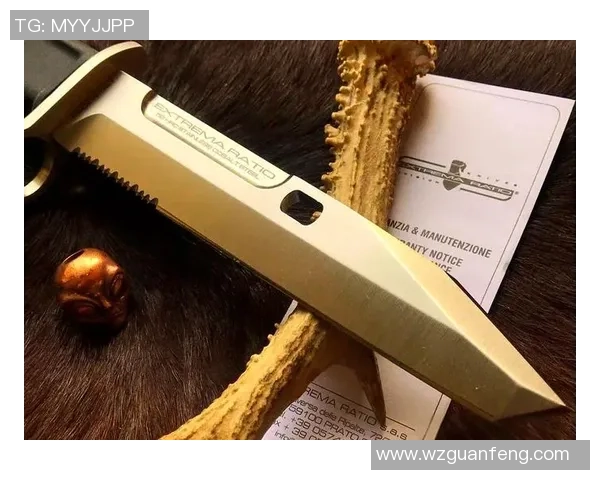 巴格达空军与玛基亚的激烈对决揭示战术与实力的较量